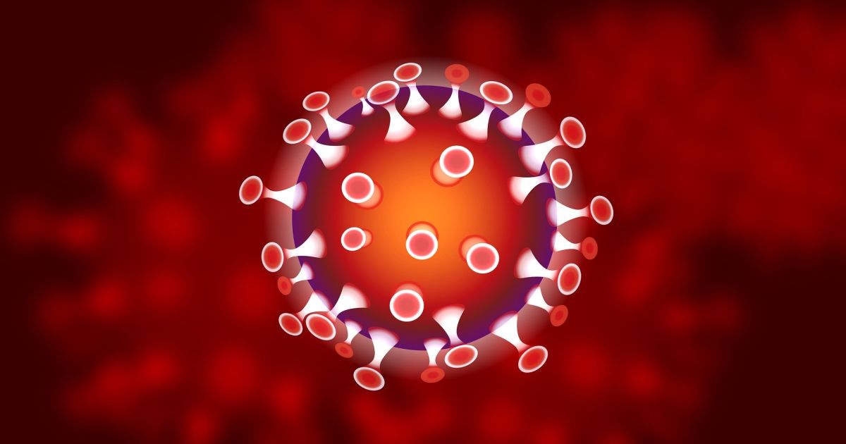 7 Bienfaits Du Coronavirus Covid 19