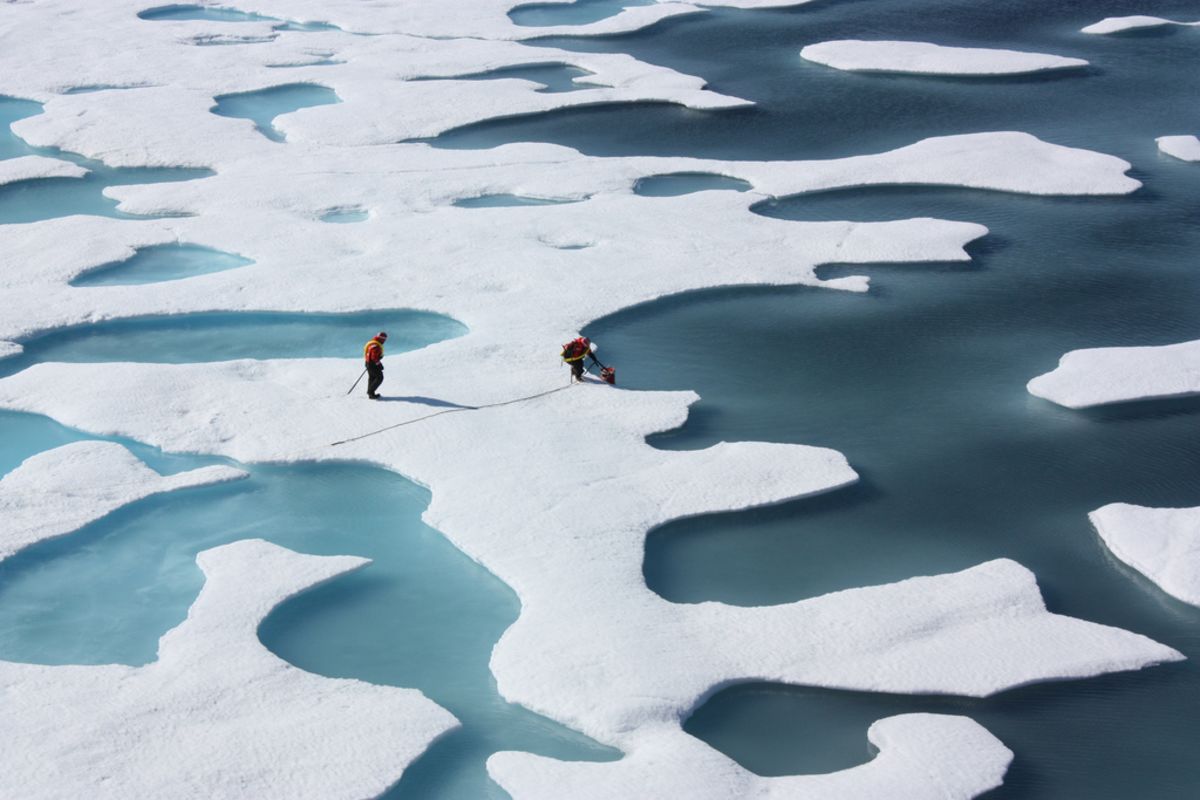 7 choses que vous ignorez probablement sur les terres sauvages 