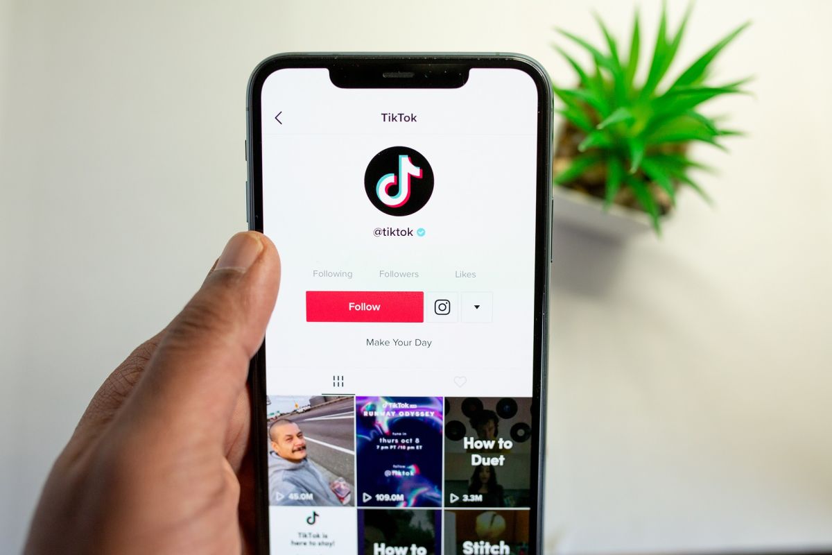 7 étoiles montantes propulsées par le réseau social TikTok