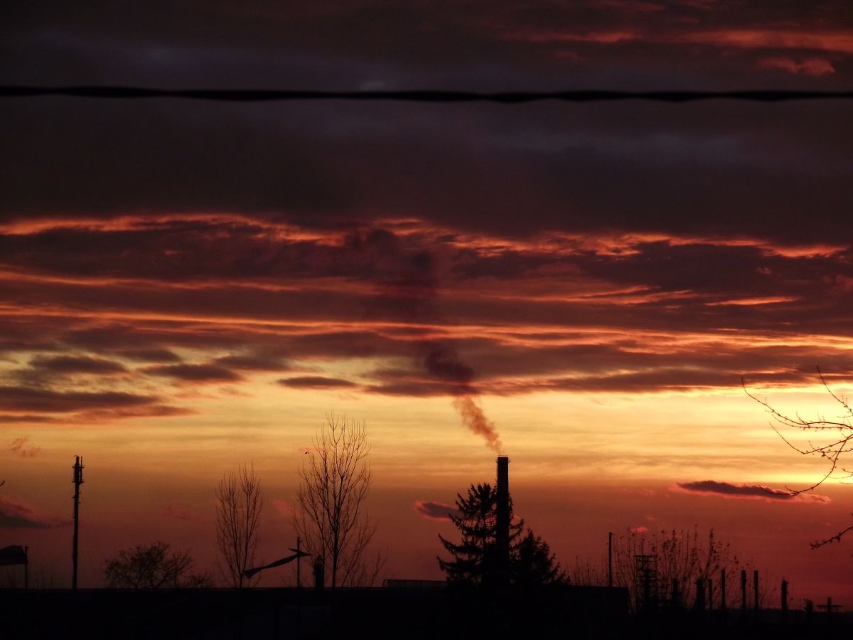 7 menaces liées au réchauffement climatique sur Terre