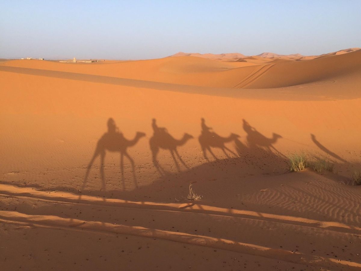 Pourquoi les Morocco Travel Packages sont la façon la plus intelligente d’explorer l’Afrique du Nord