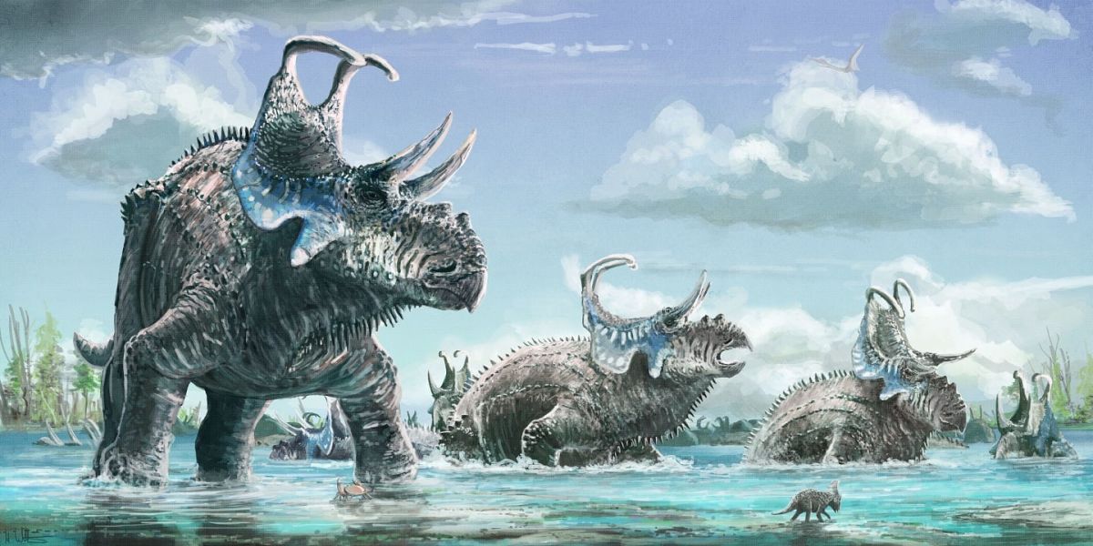 Deux nouveaux dinos cornus et 6 autres bonnes nouvelles