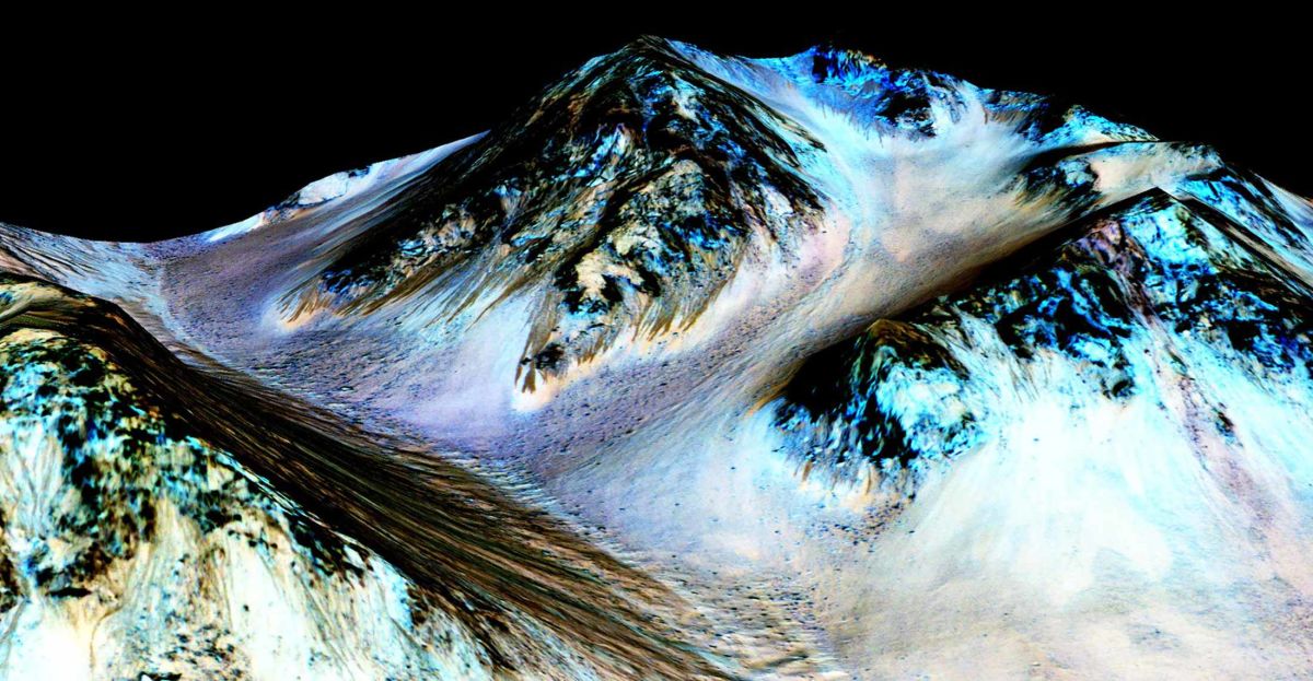 7 bonnes nouvelles de la vie sur Terre