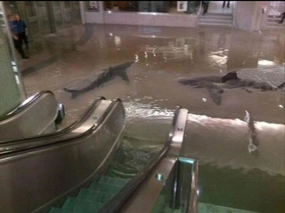 Inondations 2016 : un bon crue pour les gags