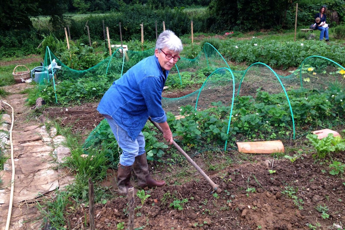 Les 7 choses à faire (ou ne pas faire) dans votre jardin en juin