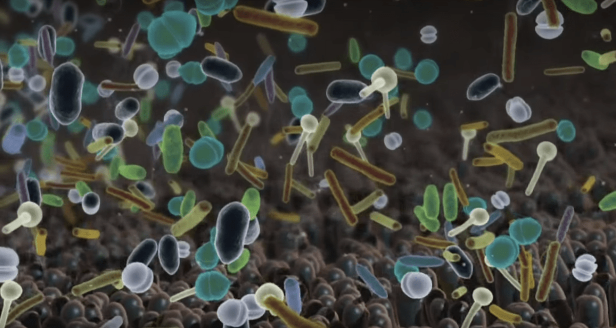 7 raisons de se passionner pour le microbiome