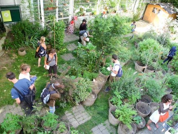 7 bonnes raisons de cultiver son jardin (en ville)