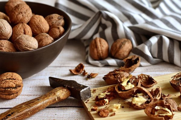 7 aliments bons pour la santé