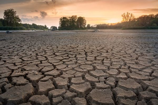 7 menaces liées au réchauffement climatique sur Terre