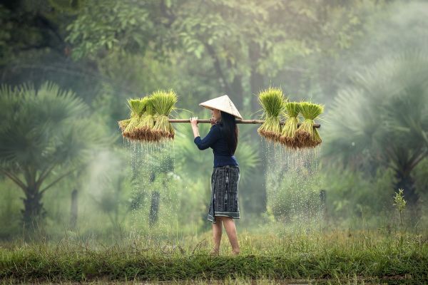 La permaculture, 7 aspects révolutionnaires pour protéger la biodiversité