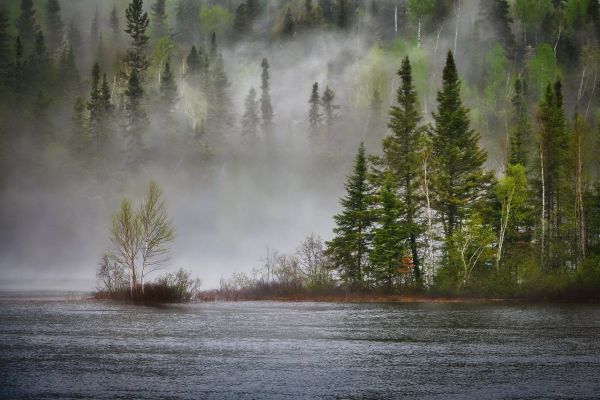 7 avancées sociétales POSITIVES pour l'environnement et le climat