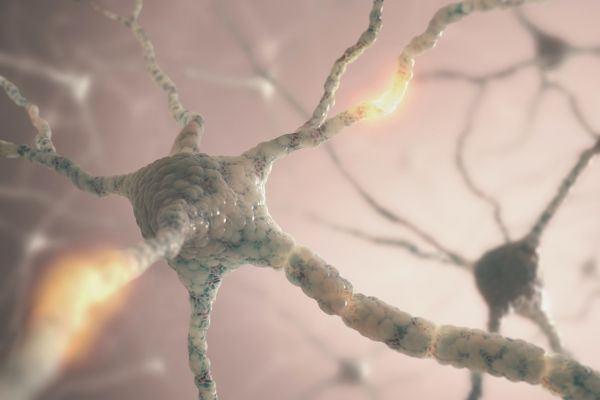 7 découvertes scientifiques récentes à connaître absolument