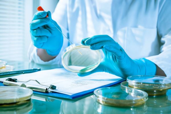 7 découvertes scientifiques récentes à connaître absolument
