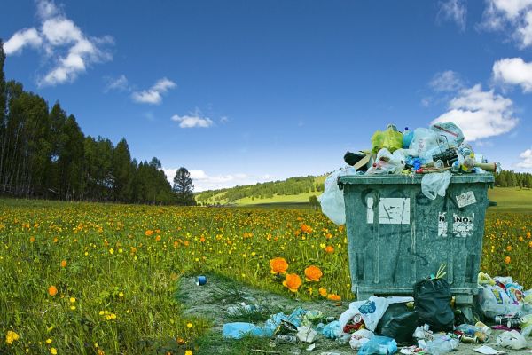 7 réflexes pour réduire son empreinte écologique