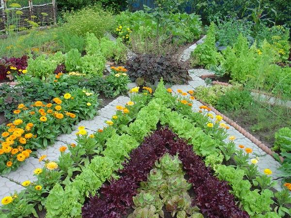 Que faire dans son jardin en avril ?