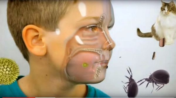 7 façons de lutter contre les allergies