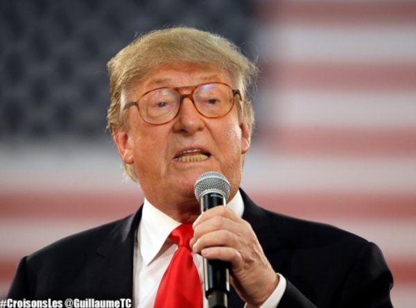 Mais qui sont les Donald Trump français ?