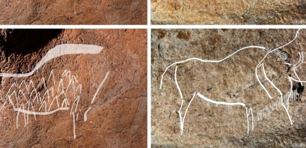 7 bonnes nouvelles de la vie sur Terre