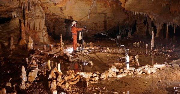 7 bonnes nouvelles de la vie sur Terre