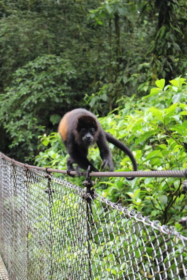 Le Costa Rica en famille cet été : 7 bonnes raisons de se laisser tenter