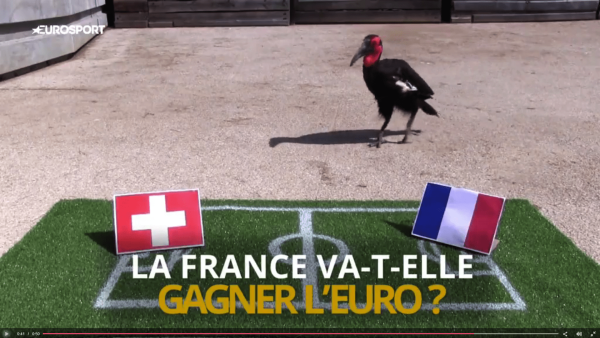 Euro 2016 : le match de l'humour