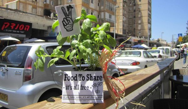 7 bonnes raisons de cultiver son jardin (en ville)