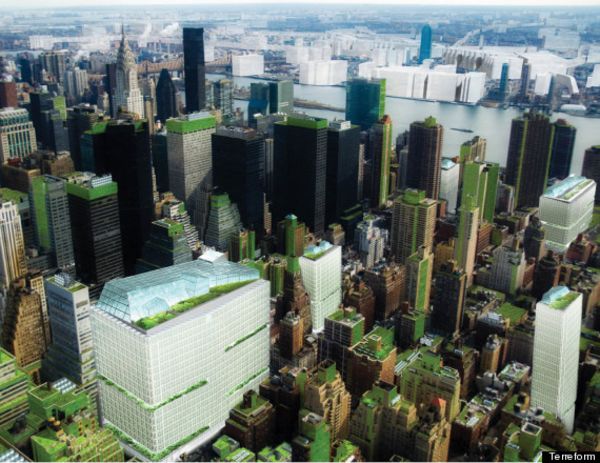 7 bonnes raisons de cultiver son jardin (en ville)