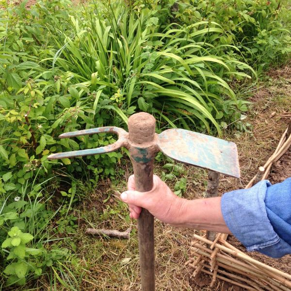 Les 7 choses à faire (ou ne pas faire) dans votre jardin en juillet