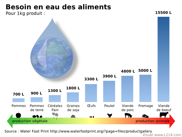 7 raisons de ne plus manger de viande