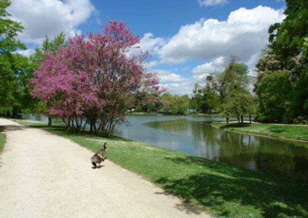 Plaidoyer pour le naturisme en ville