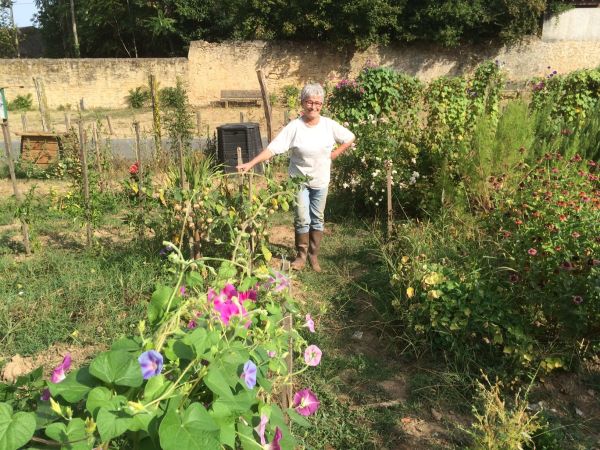 Les 7 choses à faire (ou ne pas faire) dans votre jardin en octobre