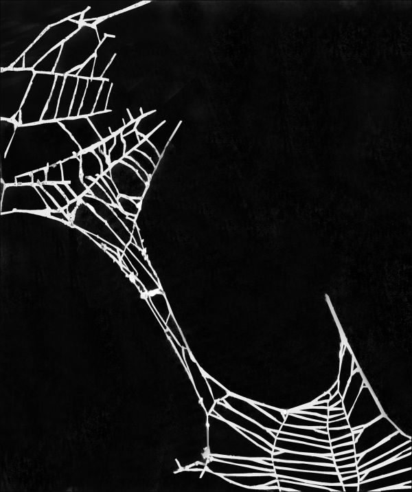 Sept idées nouvelles à l’ère du web