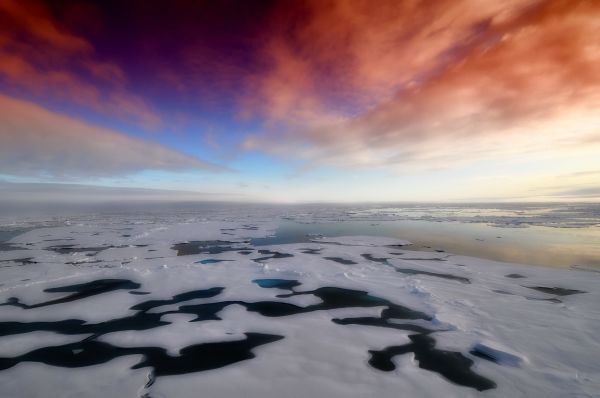 7 choses que vous ignorez probablement sur les terres sauvages