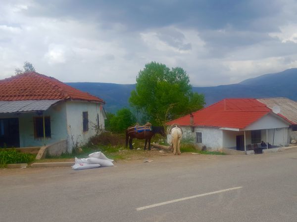 Un voyage en Balkanie