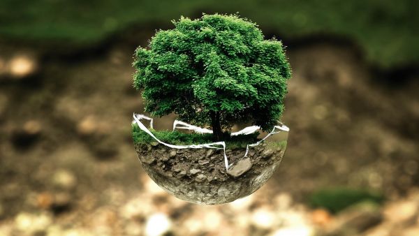 7 tendances post-modernes avec le Petit Larousse 2019
