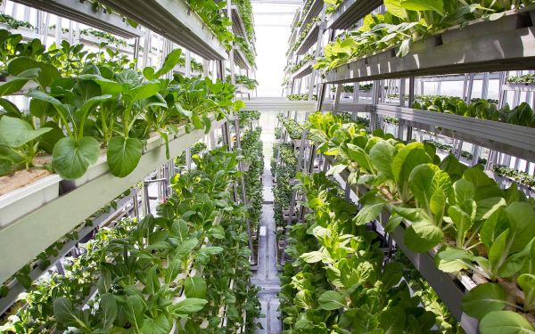 7 innovations écologiques pour sauver la Planète