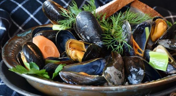 7 aliments pour préserver et booster son cerveau