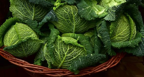 7 aliments bons pour le moral