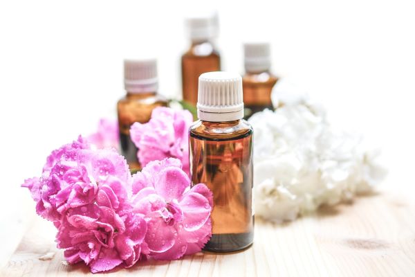 7 conseils NATURELS pour ne plus craindre les MOUSTIQUES