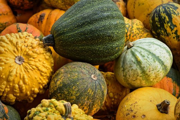 7 raisons de détester Halloween