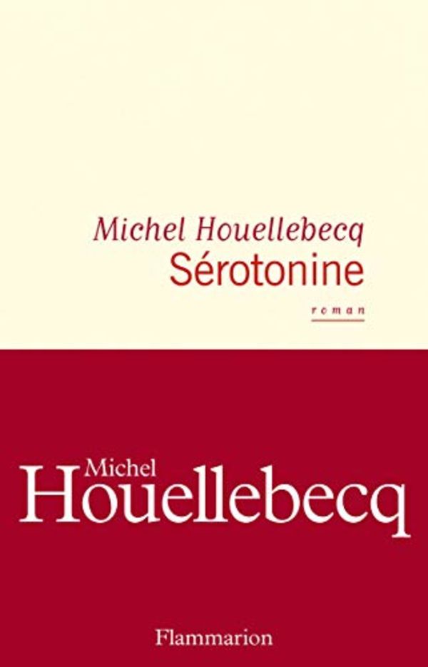 Les 7 livres les plus VENDUS en France en 2019