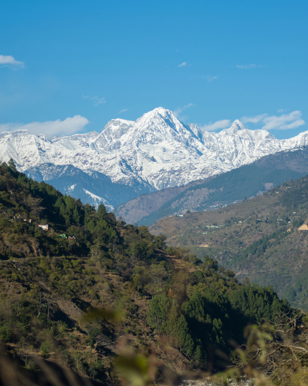 Chaukhamba Photo 89