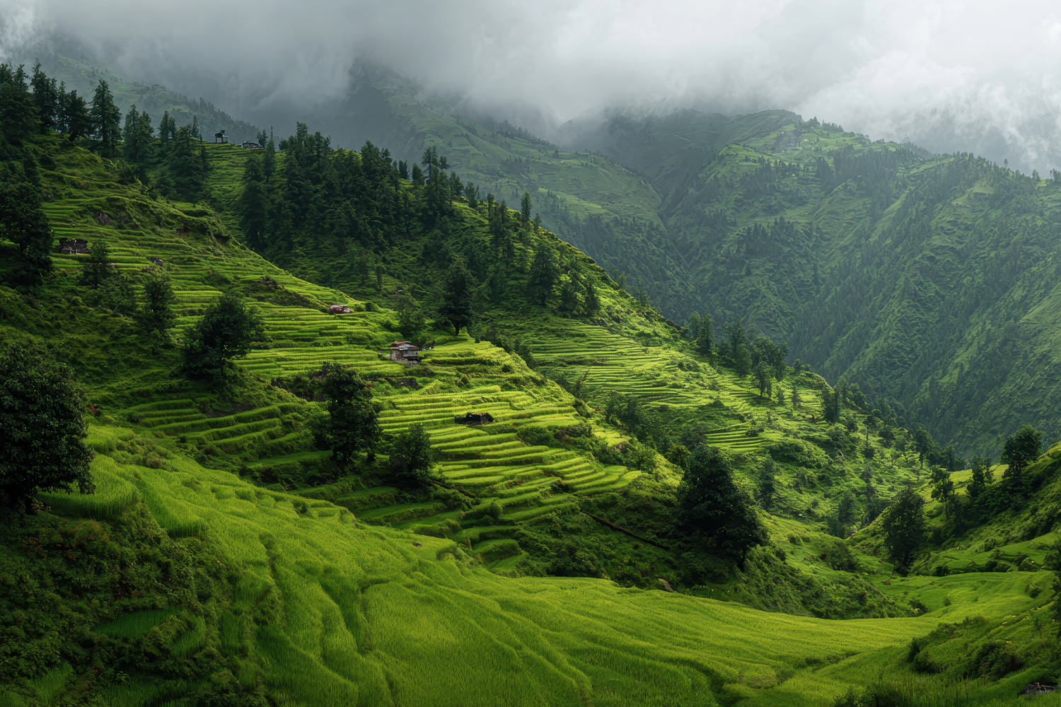 Chaukhamba Photo 84