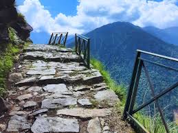 Trek Photo 20