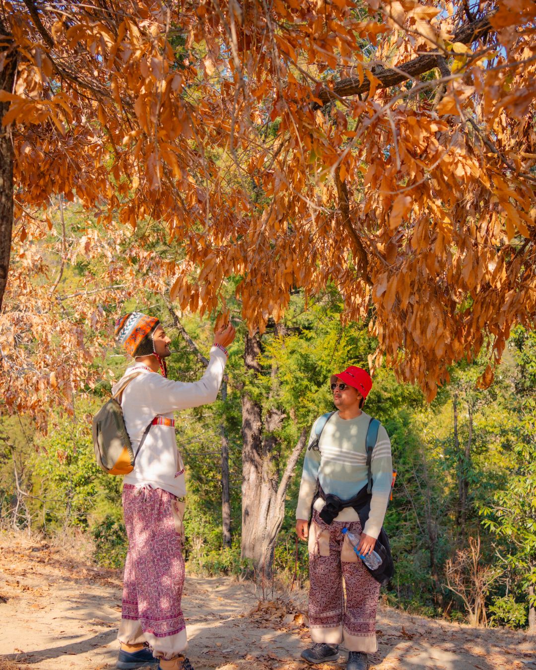 Chaukhamba Photo 3