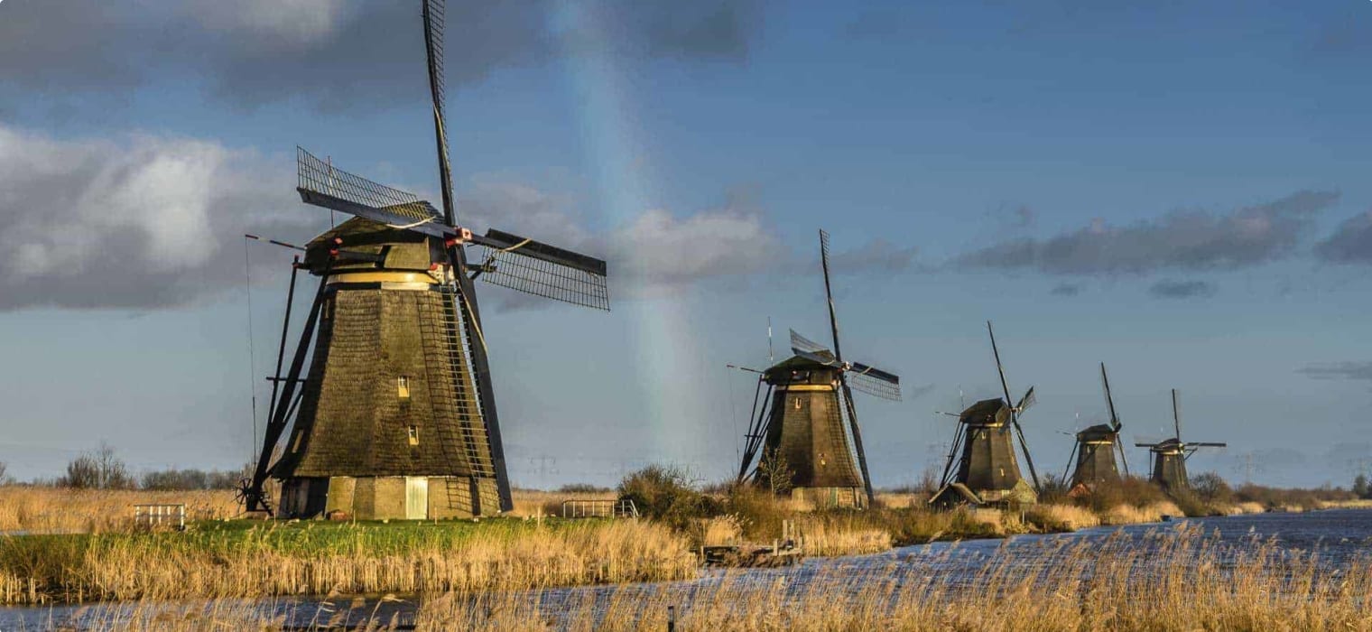 Western Europe Treasures and gardens small group tour Kinderdijk