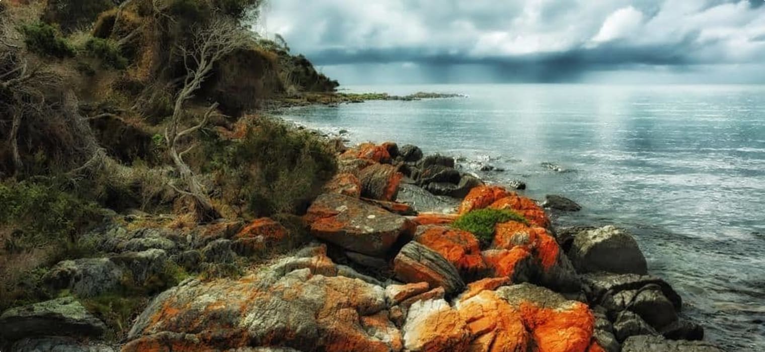 Tasmanian coastline