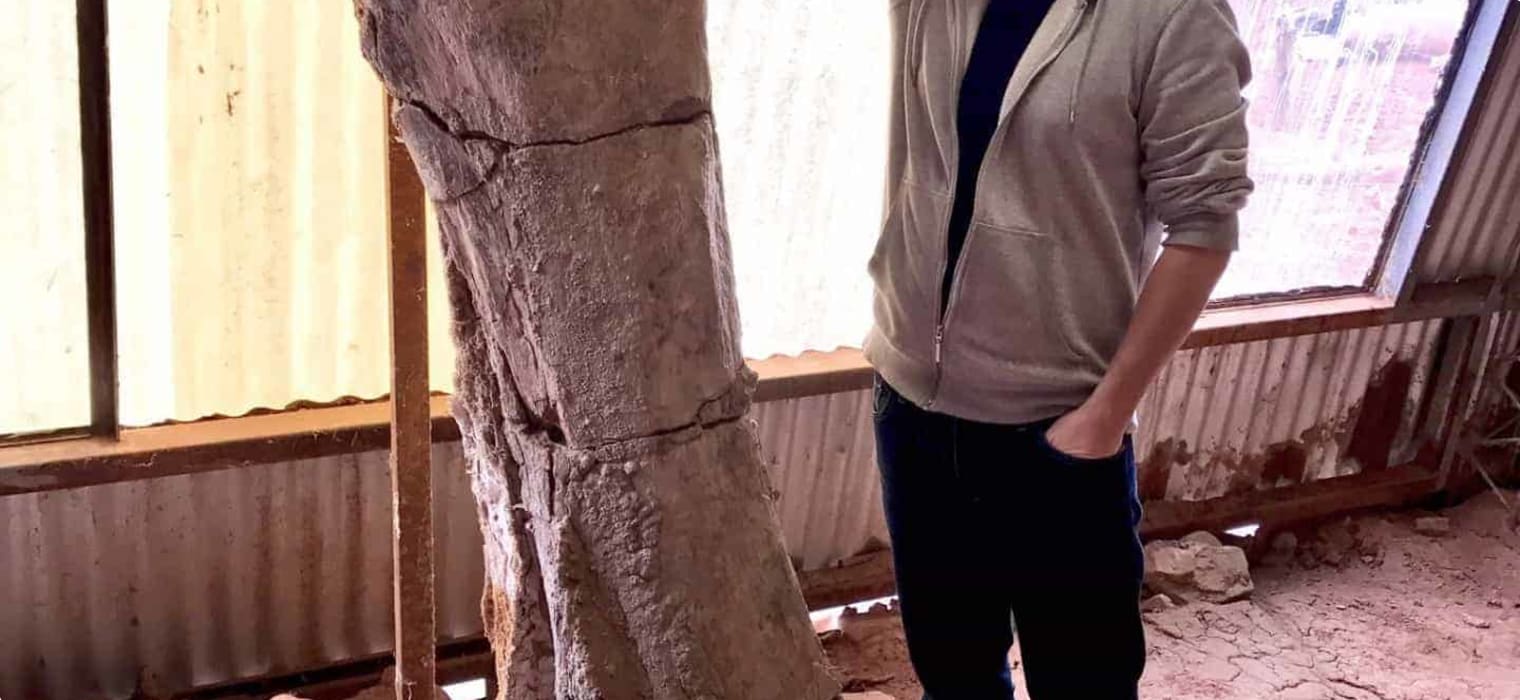 Argentina Dinosaur