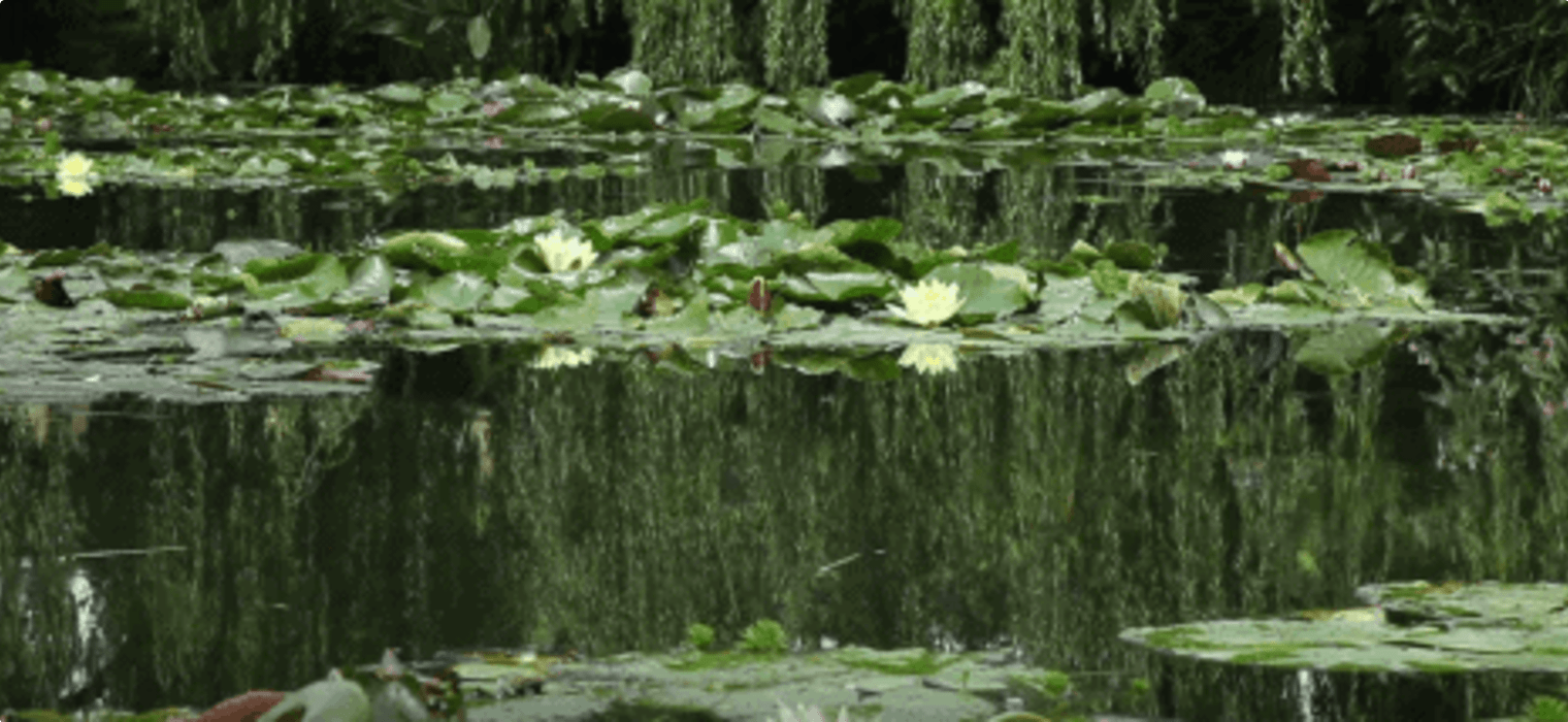 Water Lilies by Claude Monet Leggings