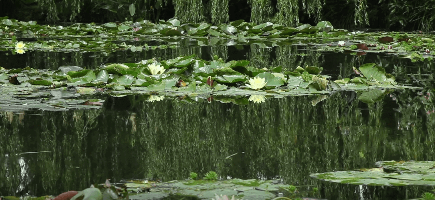 Monet's Giverney Garden